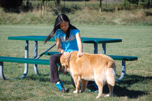 Freedom Run Dog Park photo 1